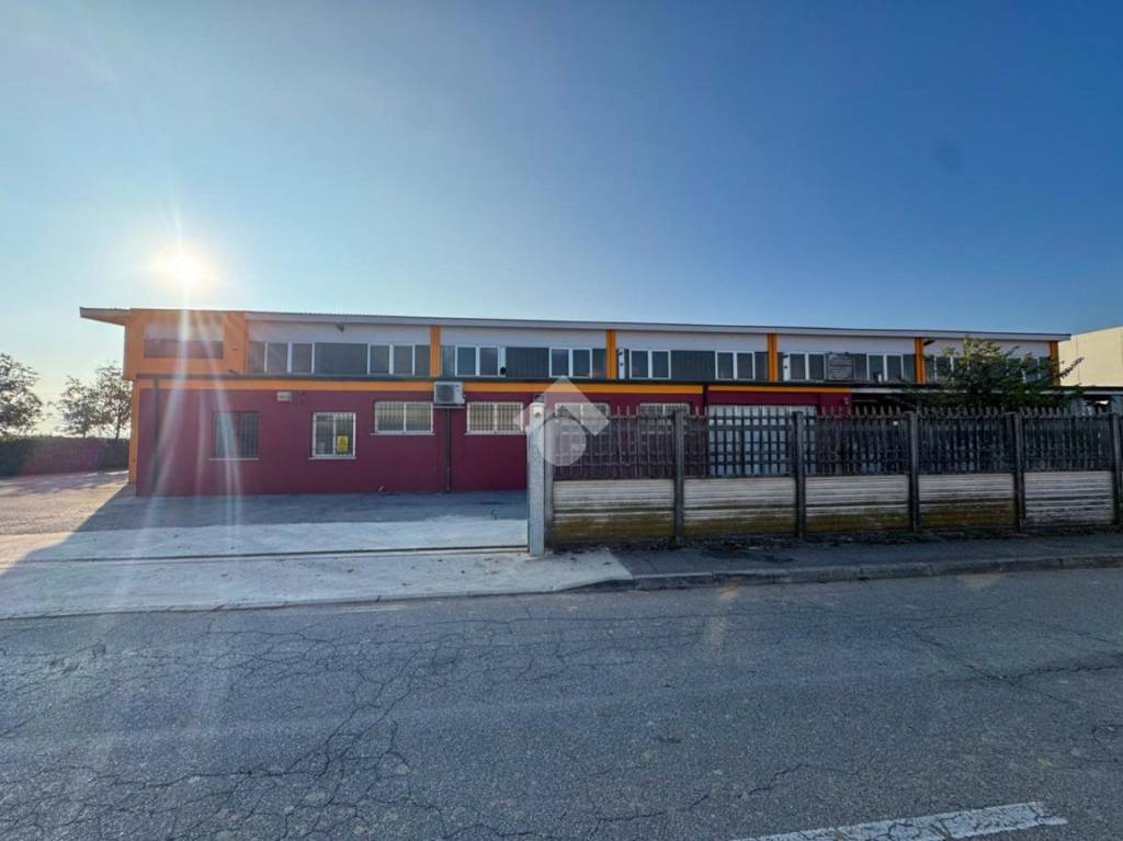 immagine annuncio 2 di 12