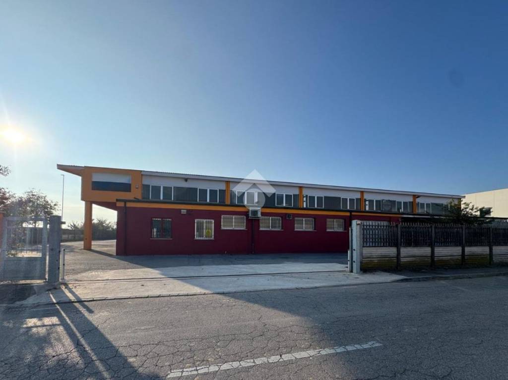 immagine annuncio 3 di 12