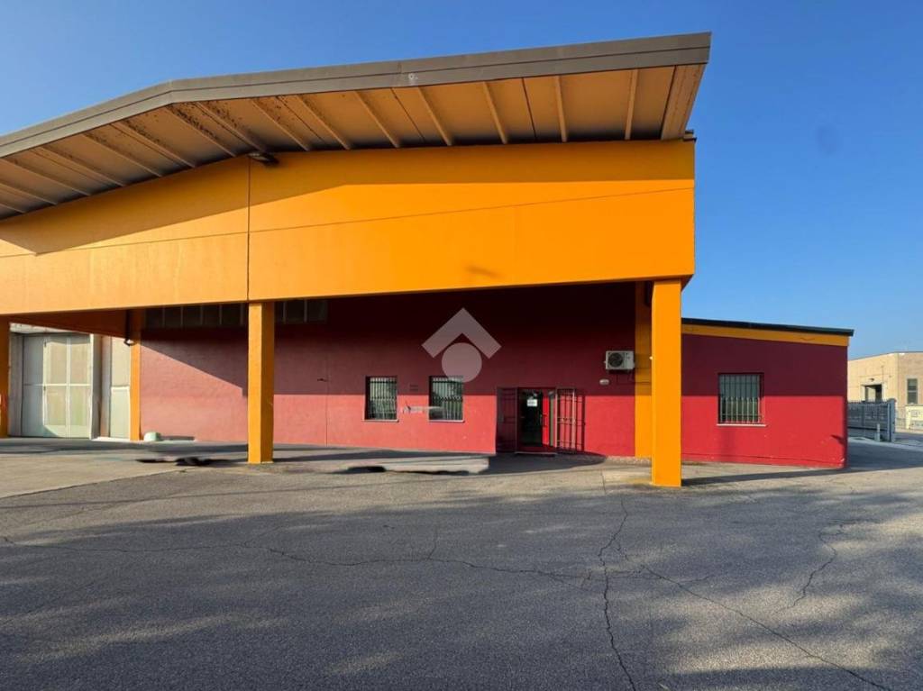 immagine annuncio 4 di 12