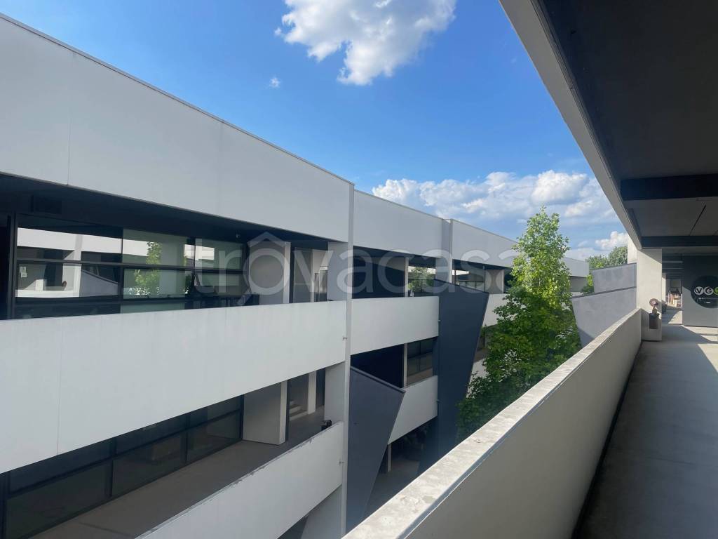 immagine annuncio 9 di 13