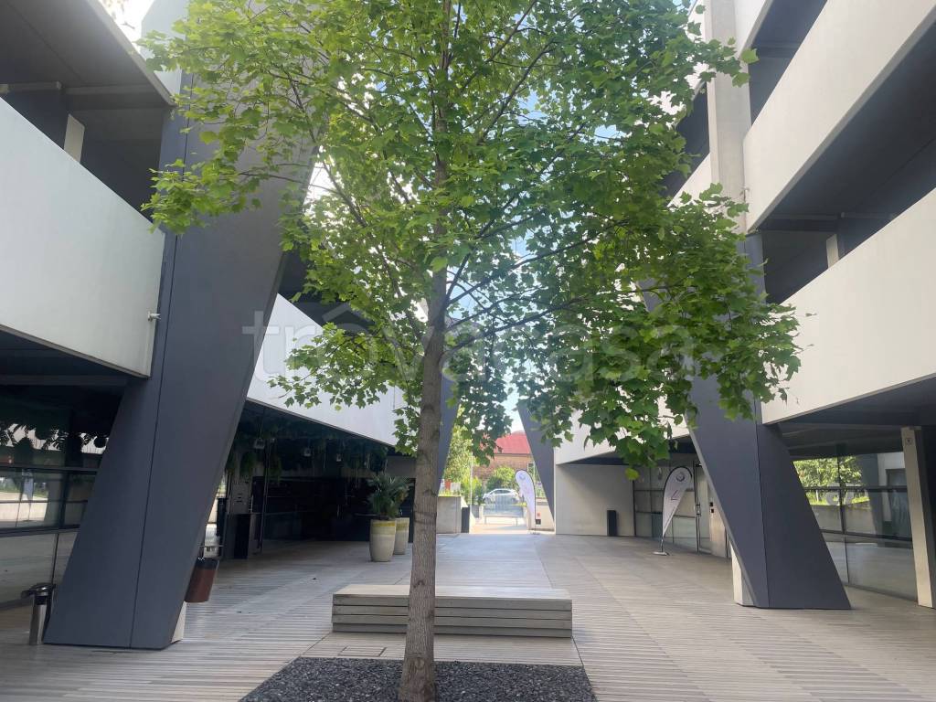 immagine annuncio 7 di 13