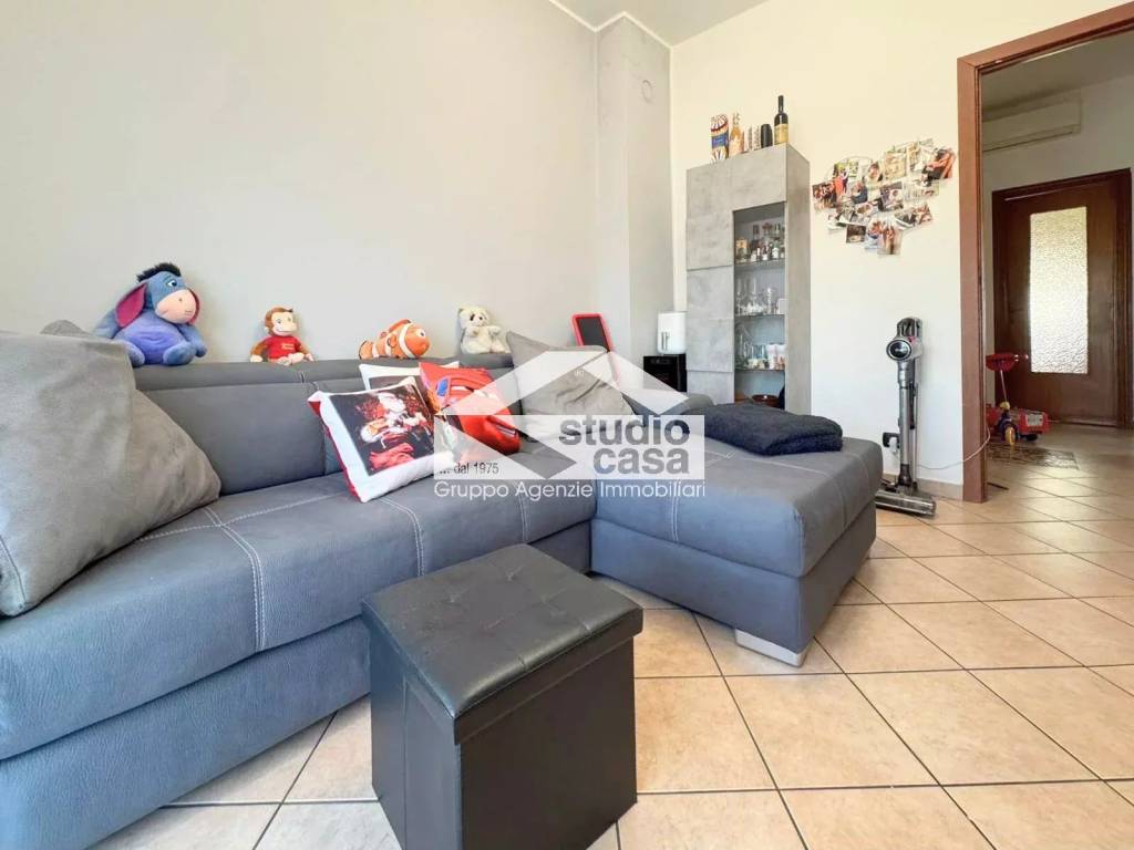 immagine annuncio 6 di 15