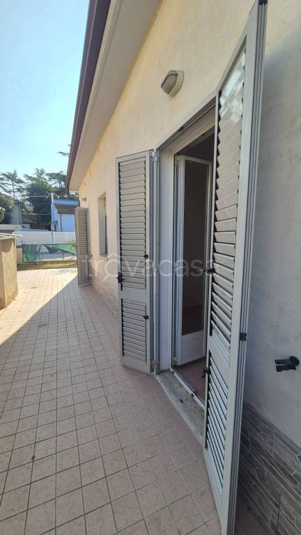 immagine annuncio 4 di 6