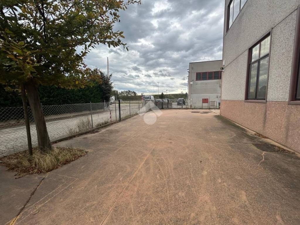 immagine annuncio 10 di 12