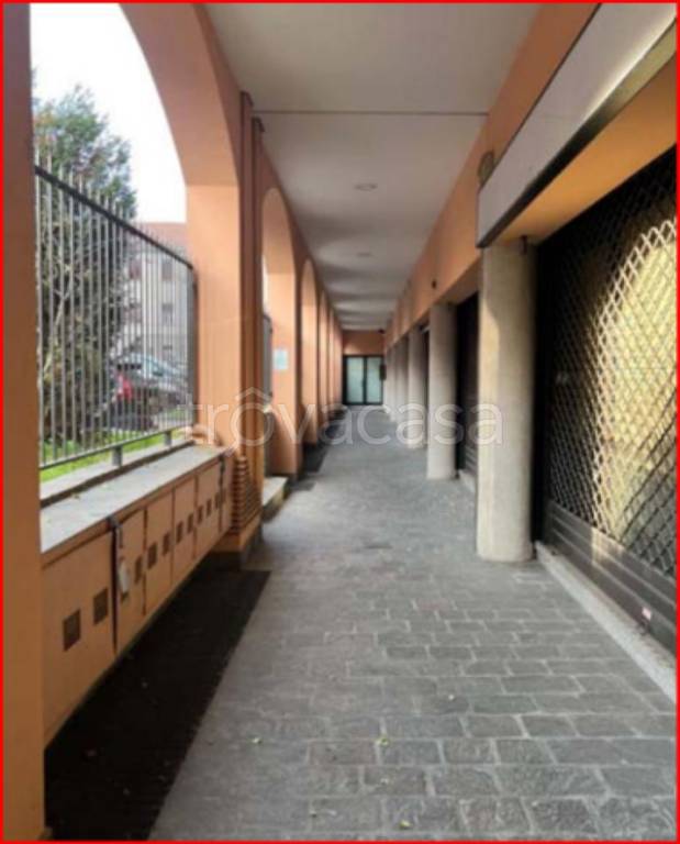 immagine annuncio 9 di 15