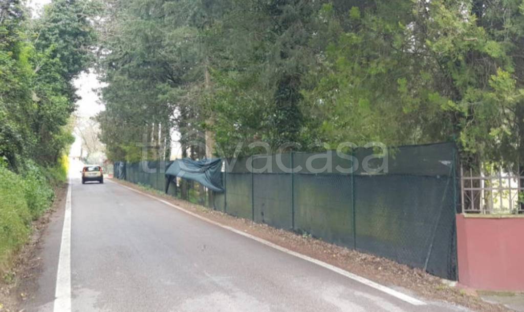 immagine annuncio 5 di 11