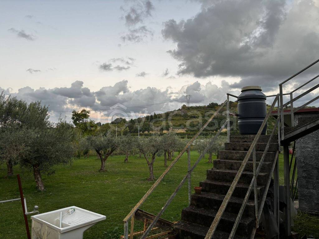 immagine annuncio 3 di 9