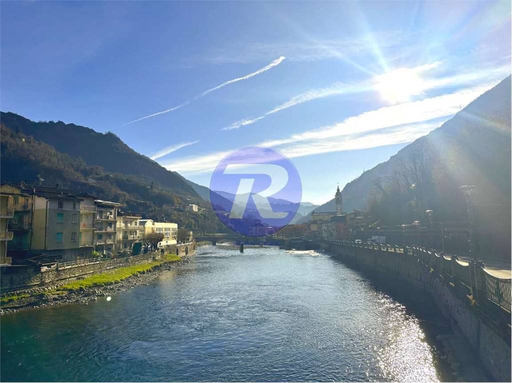 immagine annuncio 1 di 2