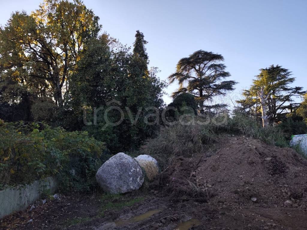 immagine annuncio 1 di 2