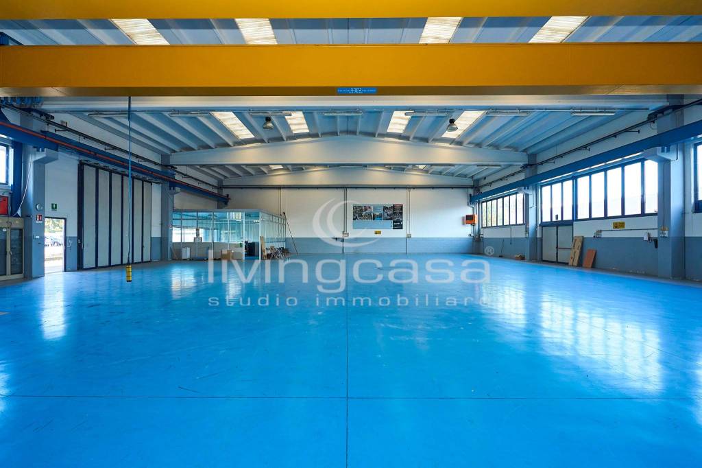 immagine annuncio 5 di 15