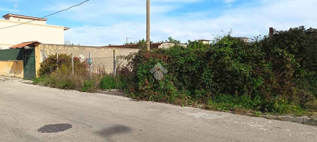 immagine annuncio 4 di 14