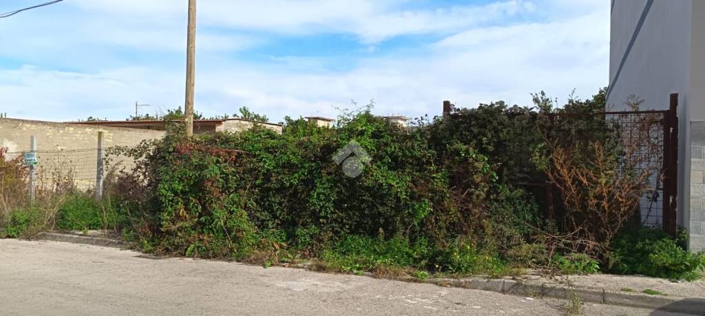 immagine annuncio 6 di 14