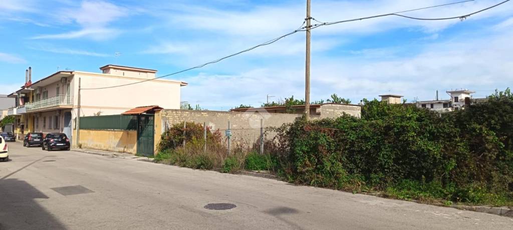 immagine annuncio 8 di 14