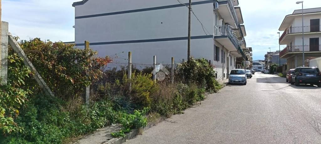 immagine annuncio 10 di 14