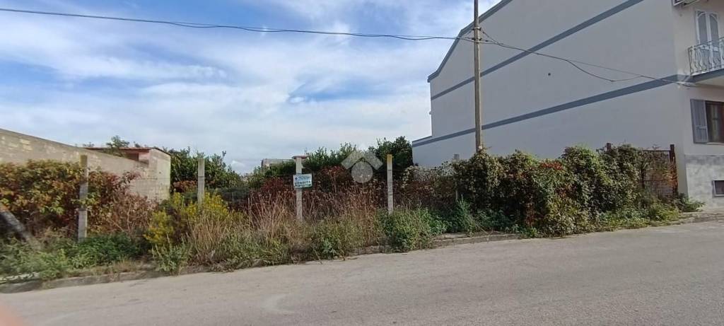 immagine annuncio 13 di 14