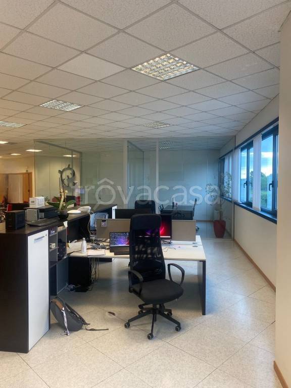 immagine annuncio 4 di 9