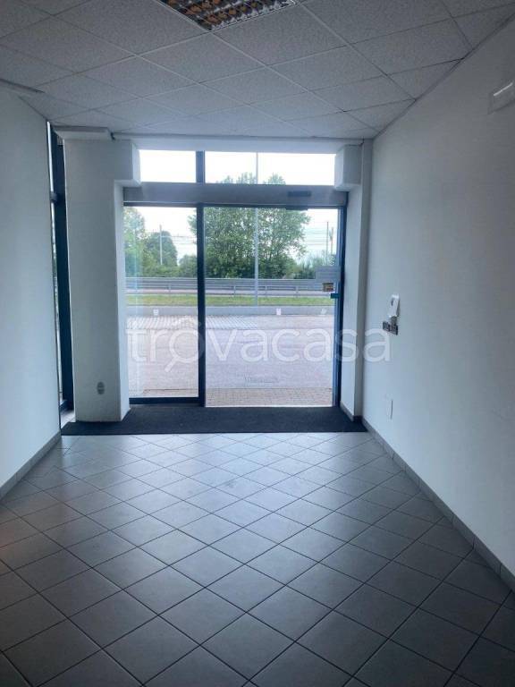 immagine annuncio 6 di 9