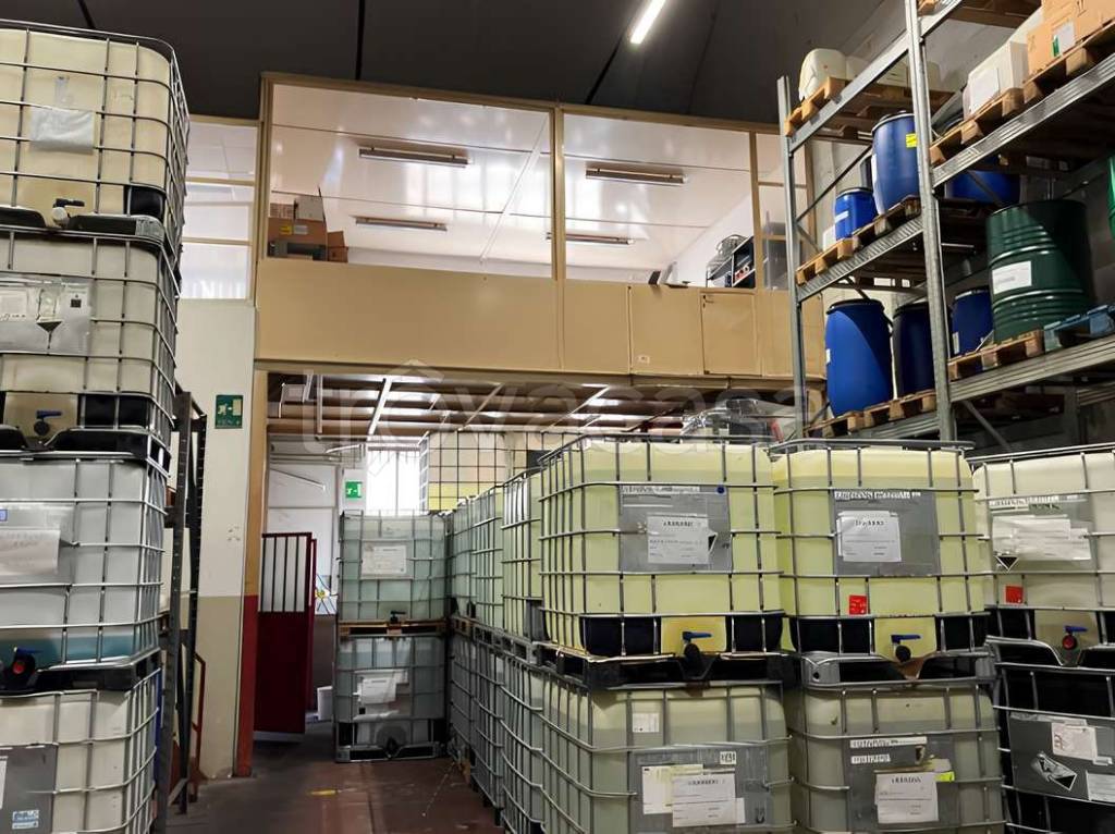 immagine annuncio 9 di 11