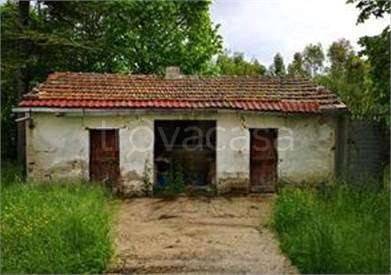 immagine annuncio 5 di 8