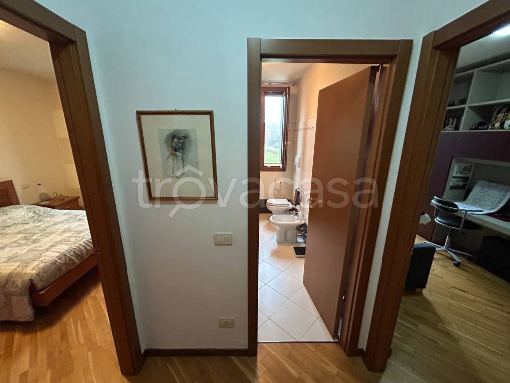 immagine annuncio 7 di 14