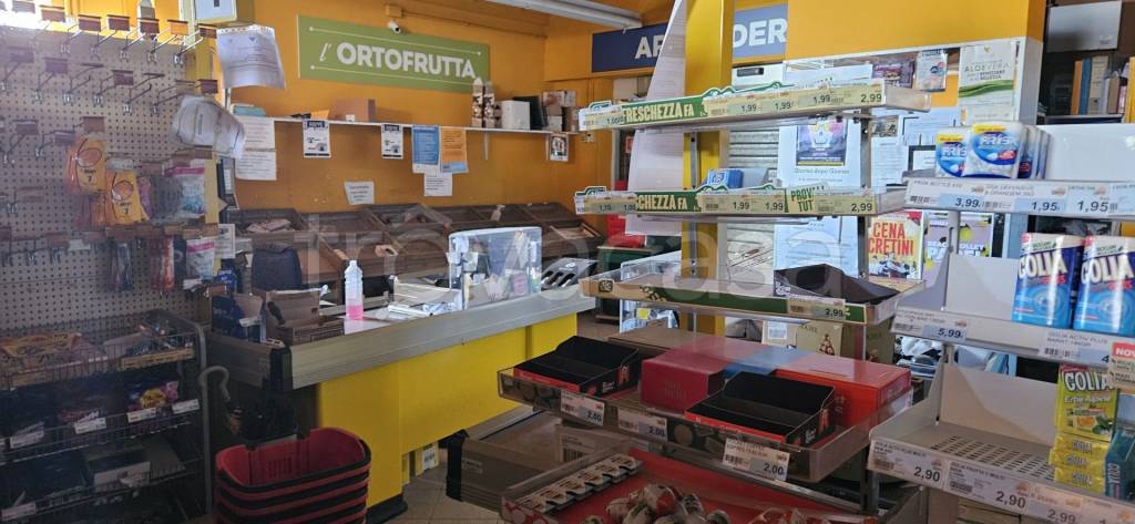 immagine annuncio 7 di 12