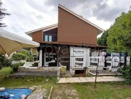 immagine annuncio 2 di 14