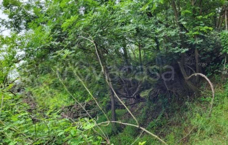 immagine annuncio 3 di 11