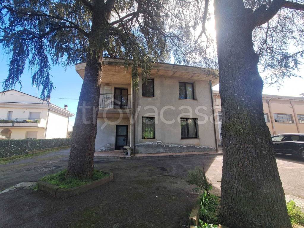 immagine annuncio 1 di 12