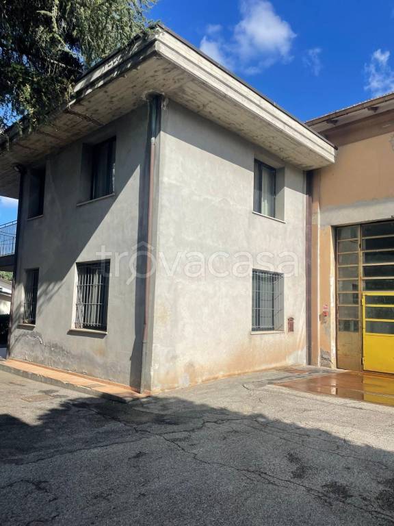 immagine annuncio 1 di 12