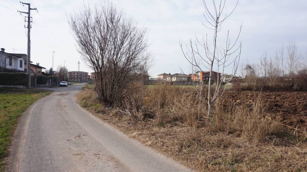 immagine annuncio 3 di 7