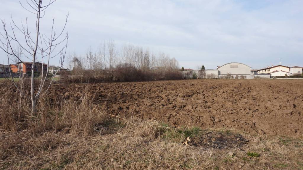 immagine annuncio 4 di 7