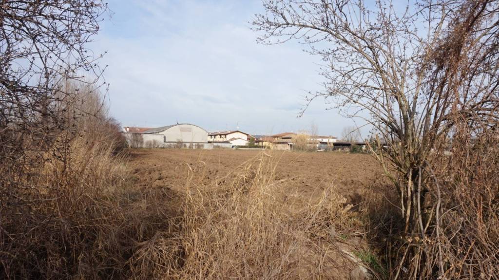 immagine annuncio 5 di 7