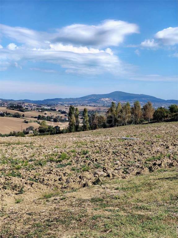 immagine annuncio 6 di 8