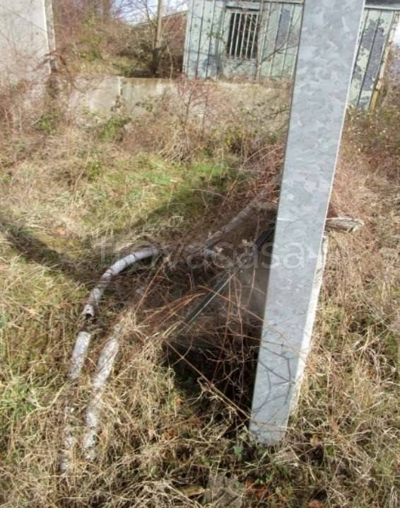 immagine annuncio 10 di 12