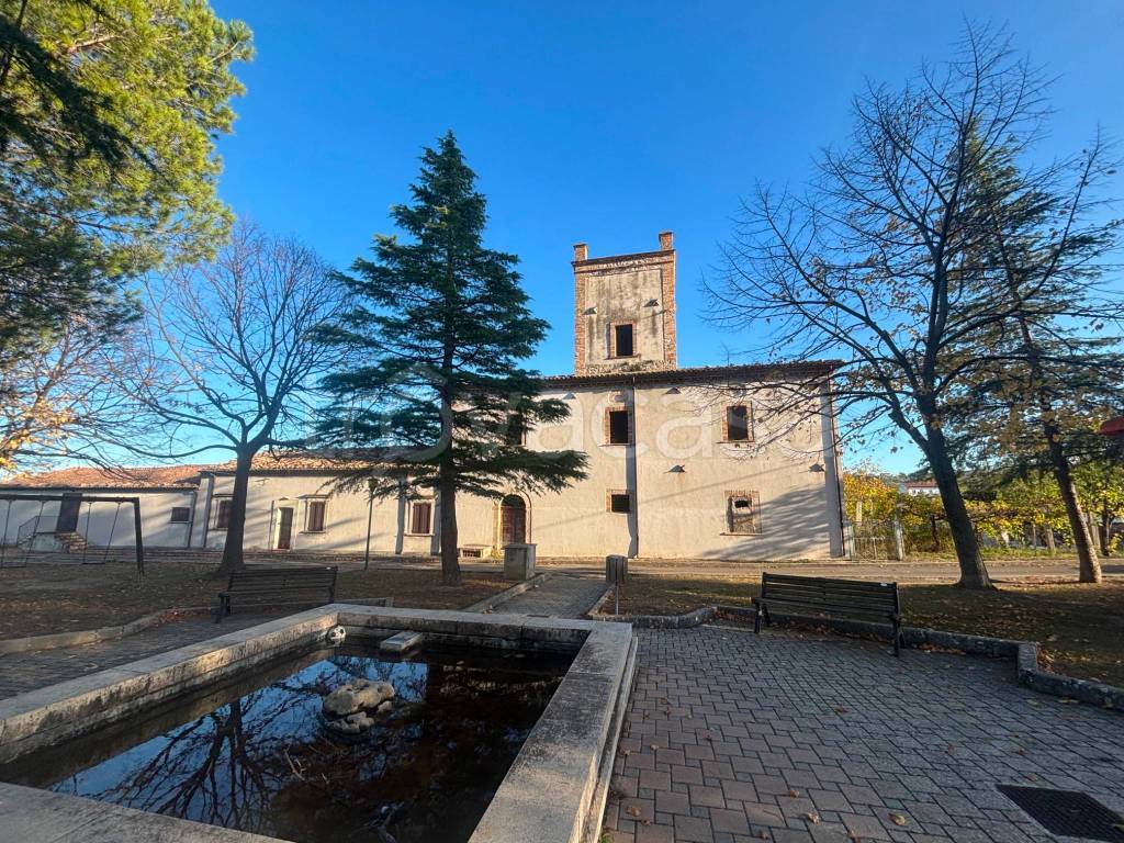 immagine annuncio 10 di 15