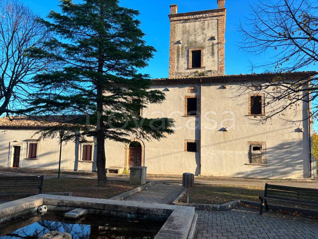 immagine annuncio 11 di 15