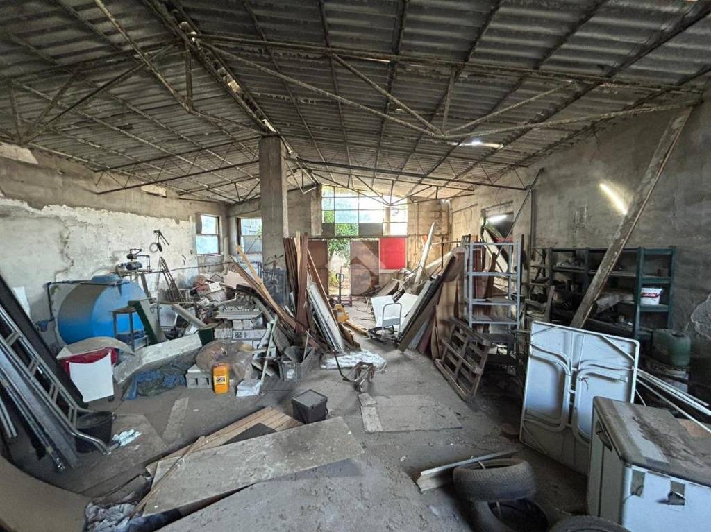 immagine annuncio 6 di 15