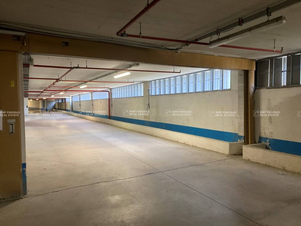 immagine annuncio 3 di 8