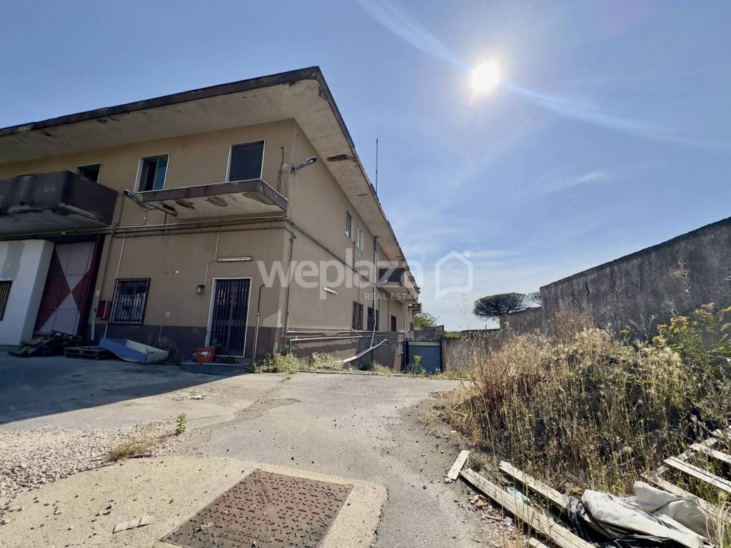 immagine annuncio 6 di 9