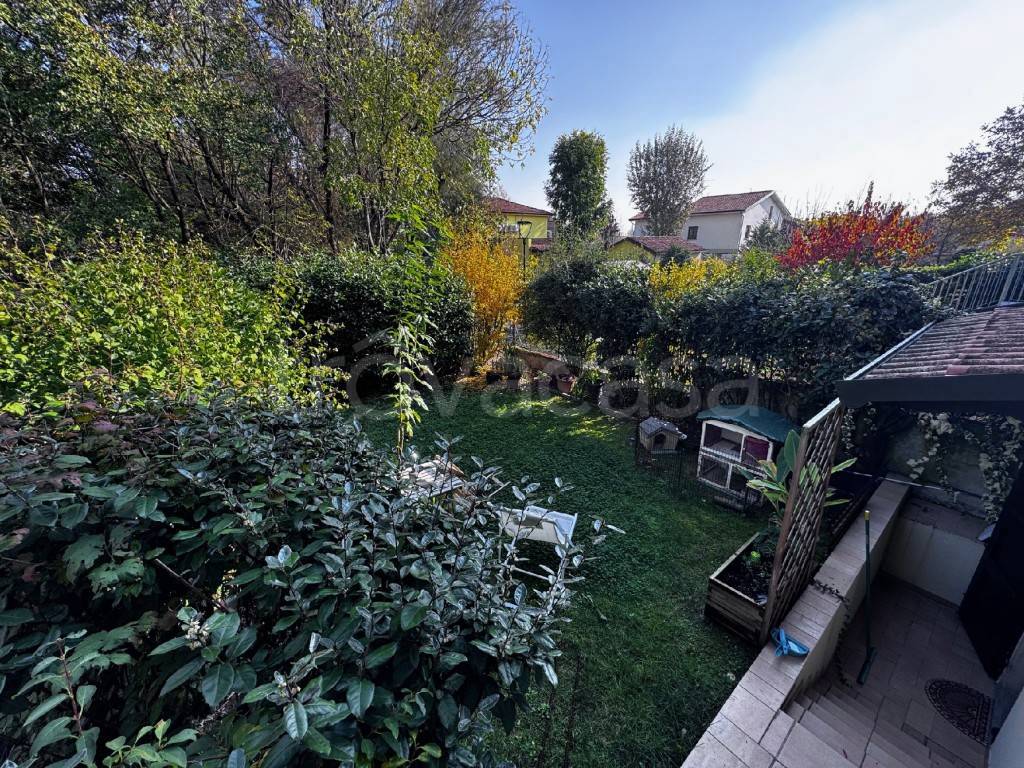 immagine annuncio 3 di 15