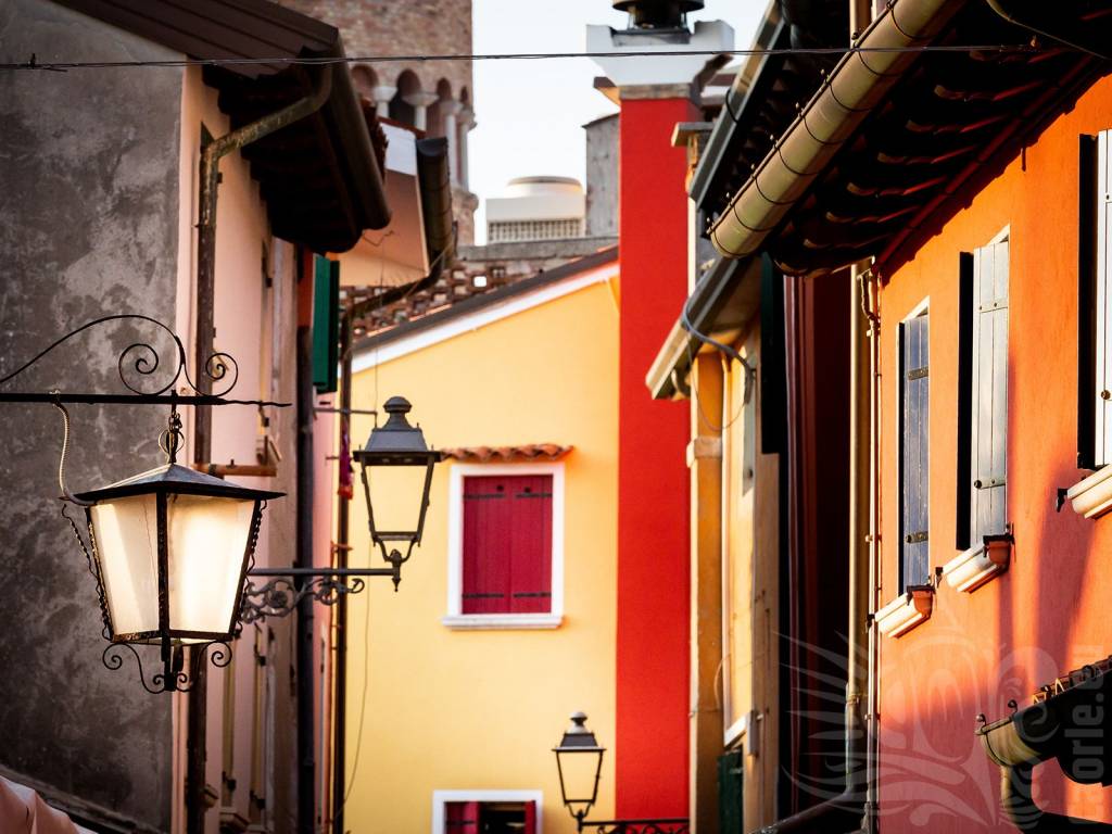 immagine annuncio 1 di 2