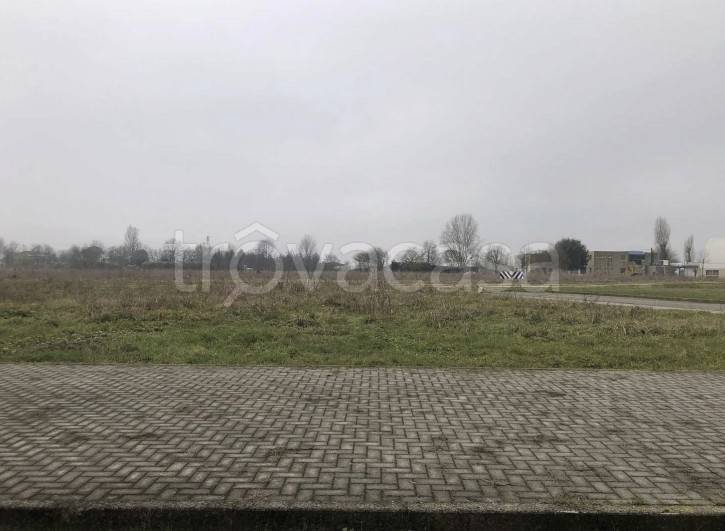 immagine annuncio 2 di 8