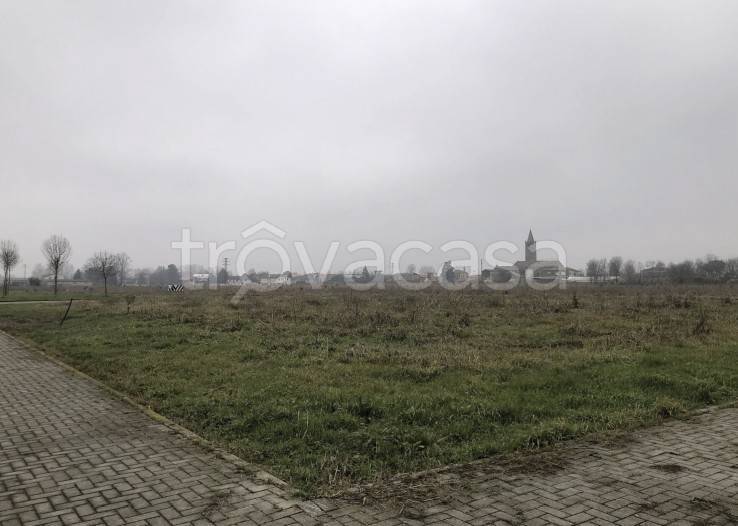 immagine annuncio 3 di 8