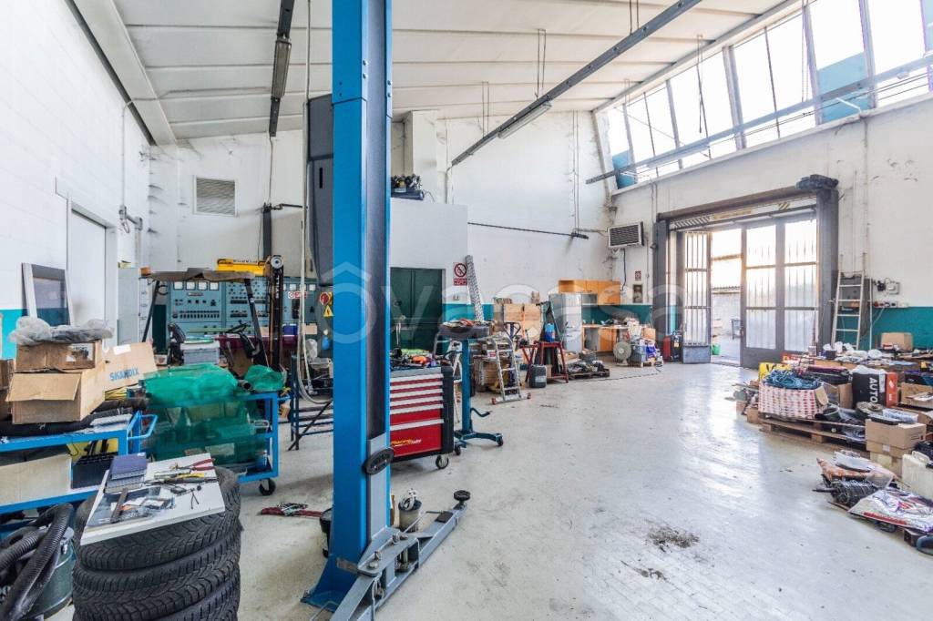 immagine annuncio 3 di 8