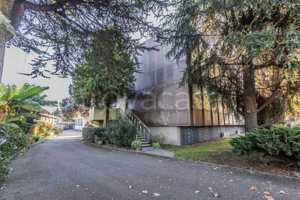 immagine annuncio 7 di 8