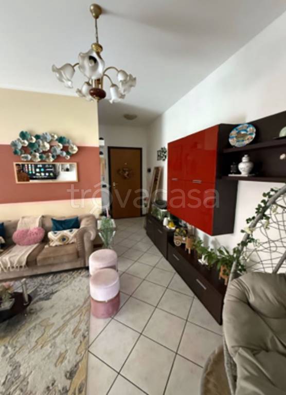 immagine annuncio 2 di 12