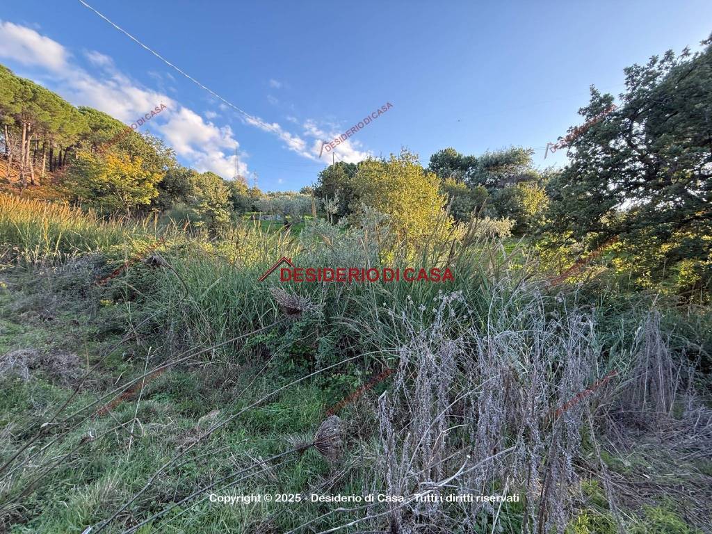 immagine annuncio 2 di 8