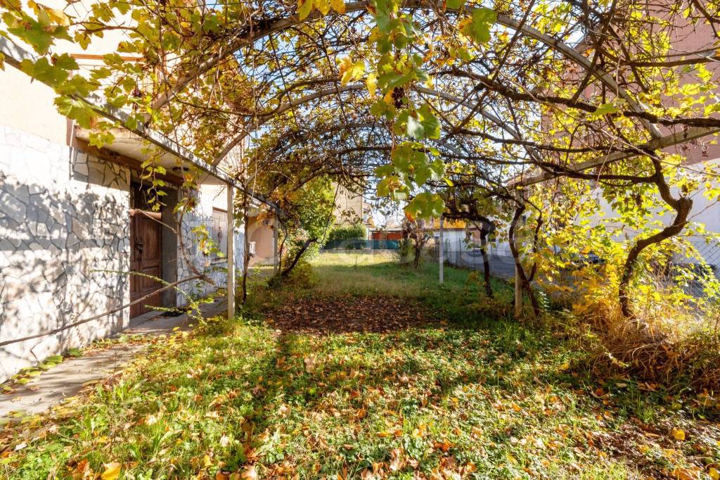 immagine annuncio 12 di 14