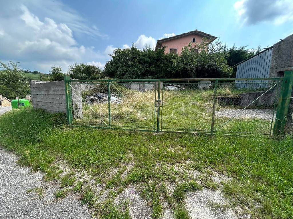 immagine annuncio 5 di 8