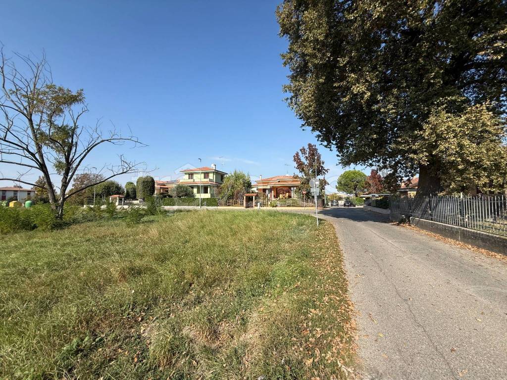 immagine annuncio 14 di 15